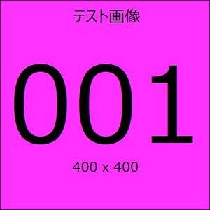 CSITE-10182入稿新築戸建てアクト社画像あり