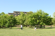 【MA用】東京ヒルズ